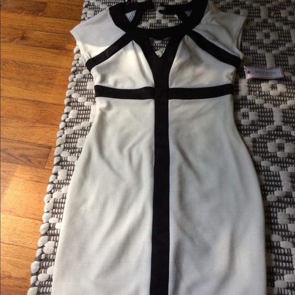 Bisou Bisou Dresses & Skirts - Dress never wore